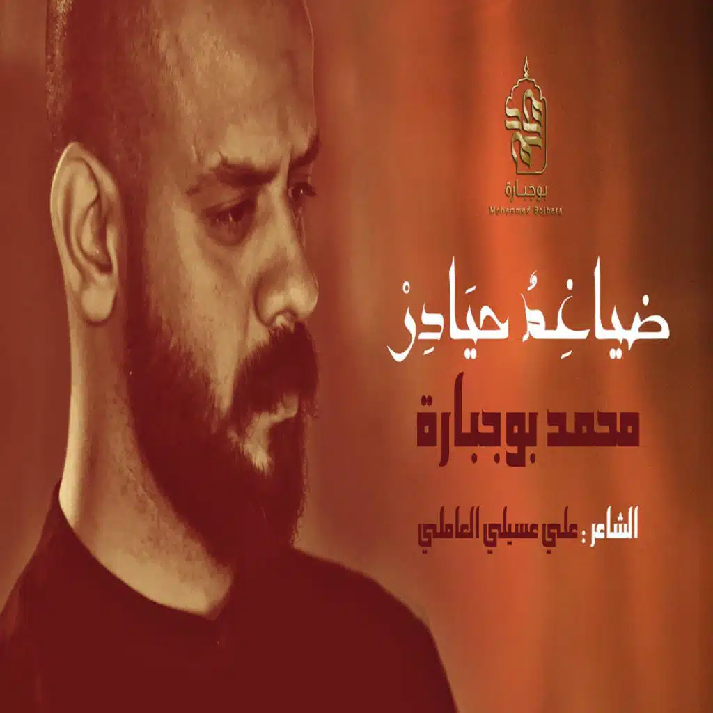 ضياغم حيادر