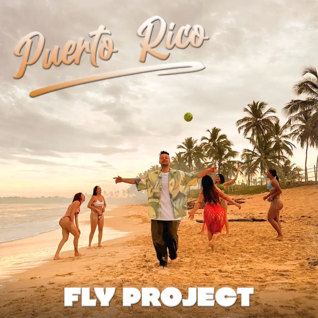 Fly Project (Chill)