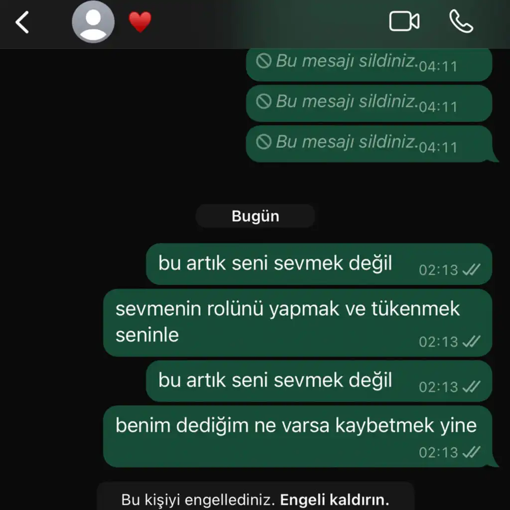 Sevmek Değil