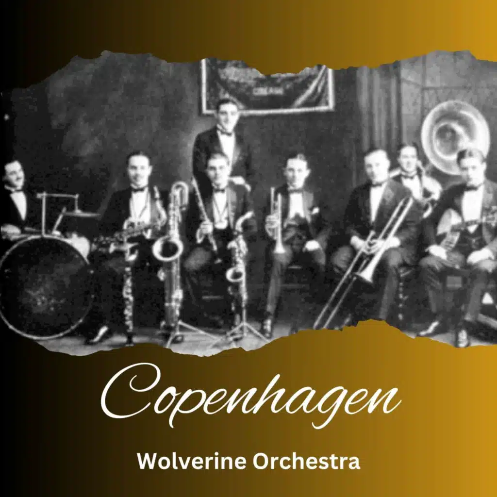 Wolverine Orchestra