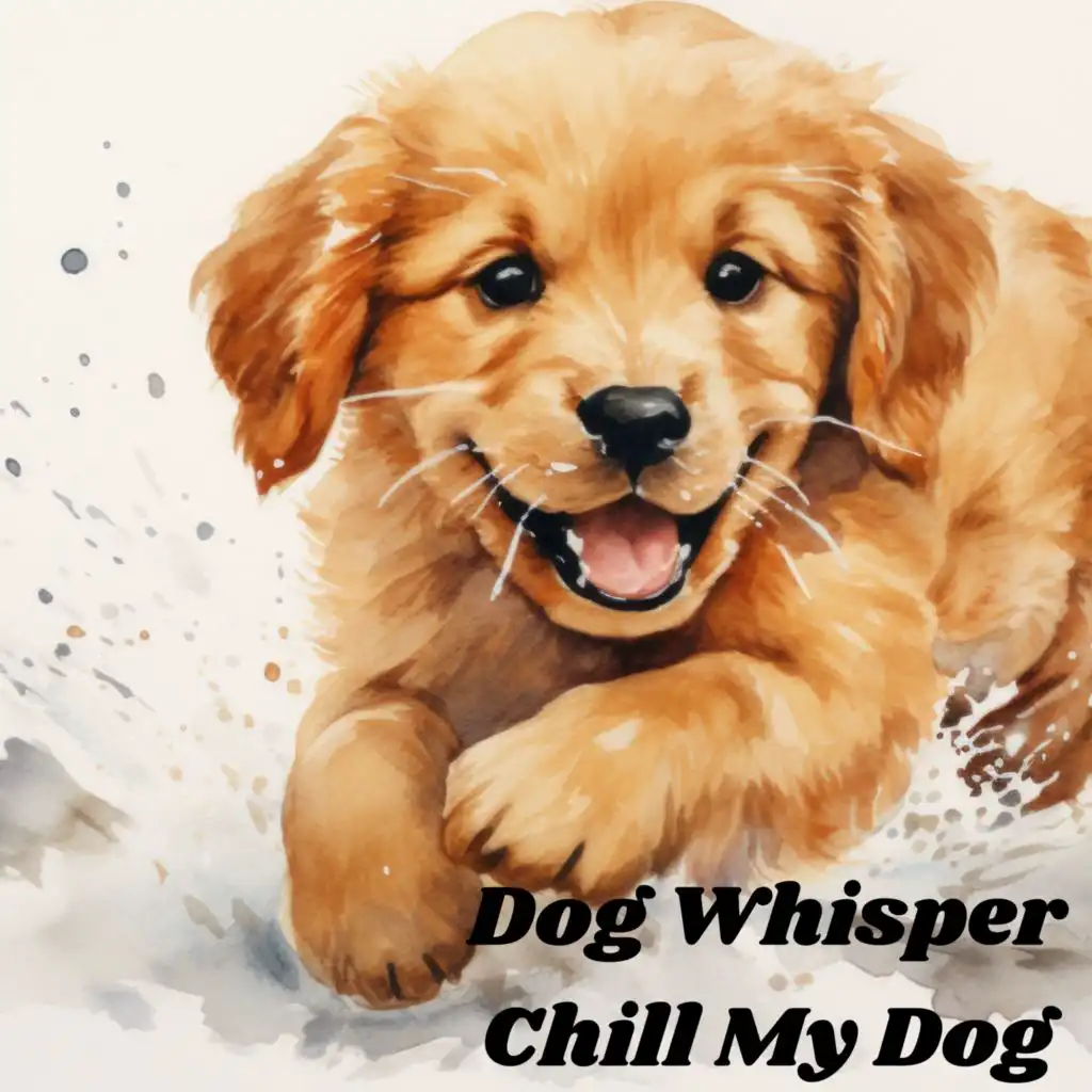 Dog Whisper: Chill My Dog