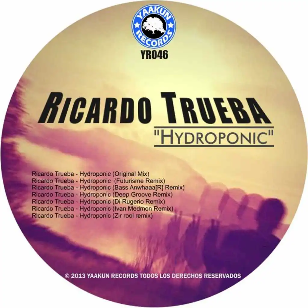 Hydroponic (feat. Deep Groove)