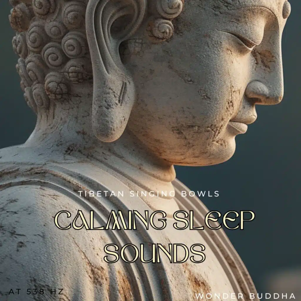 Wonder Buddha, Meditation Awareness & Asian Zen Meditation