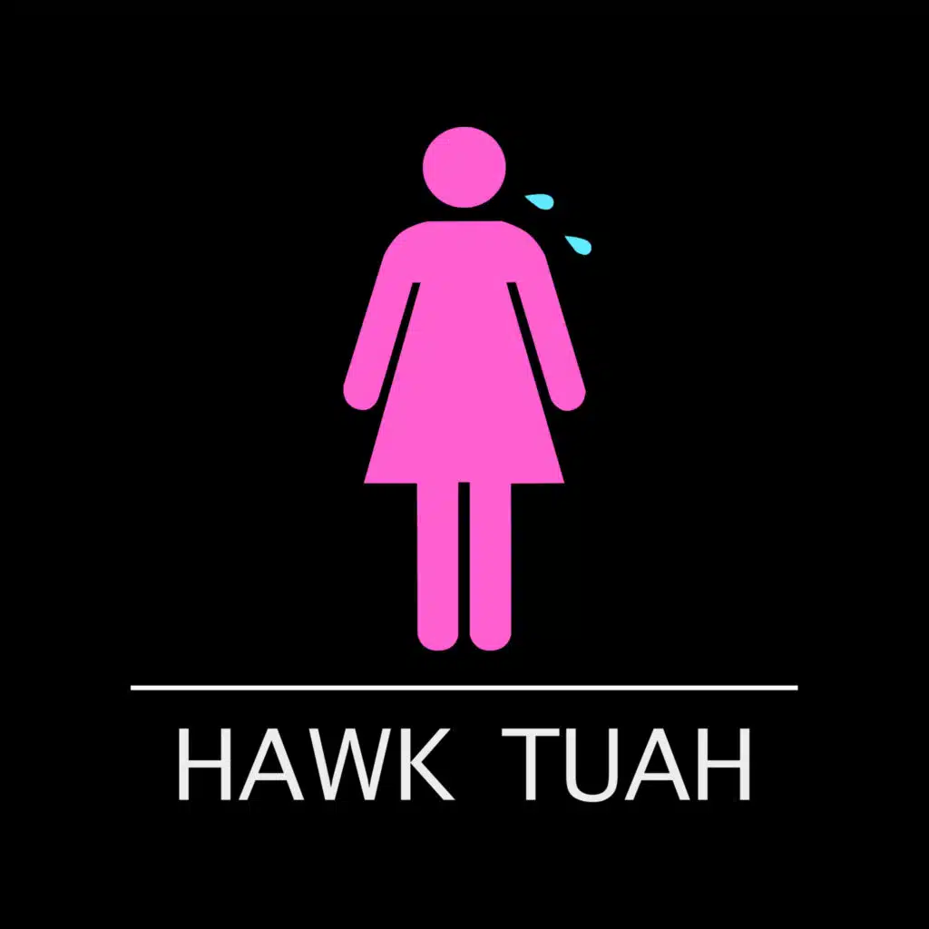 Hawk Tuah