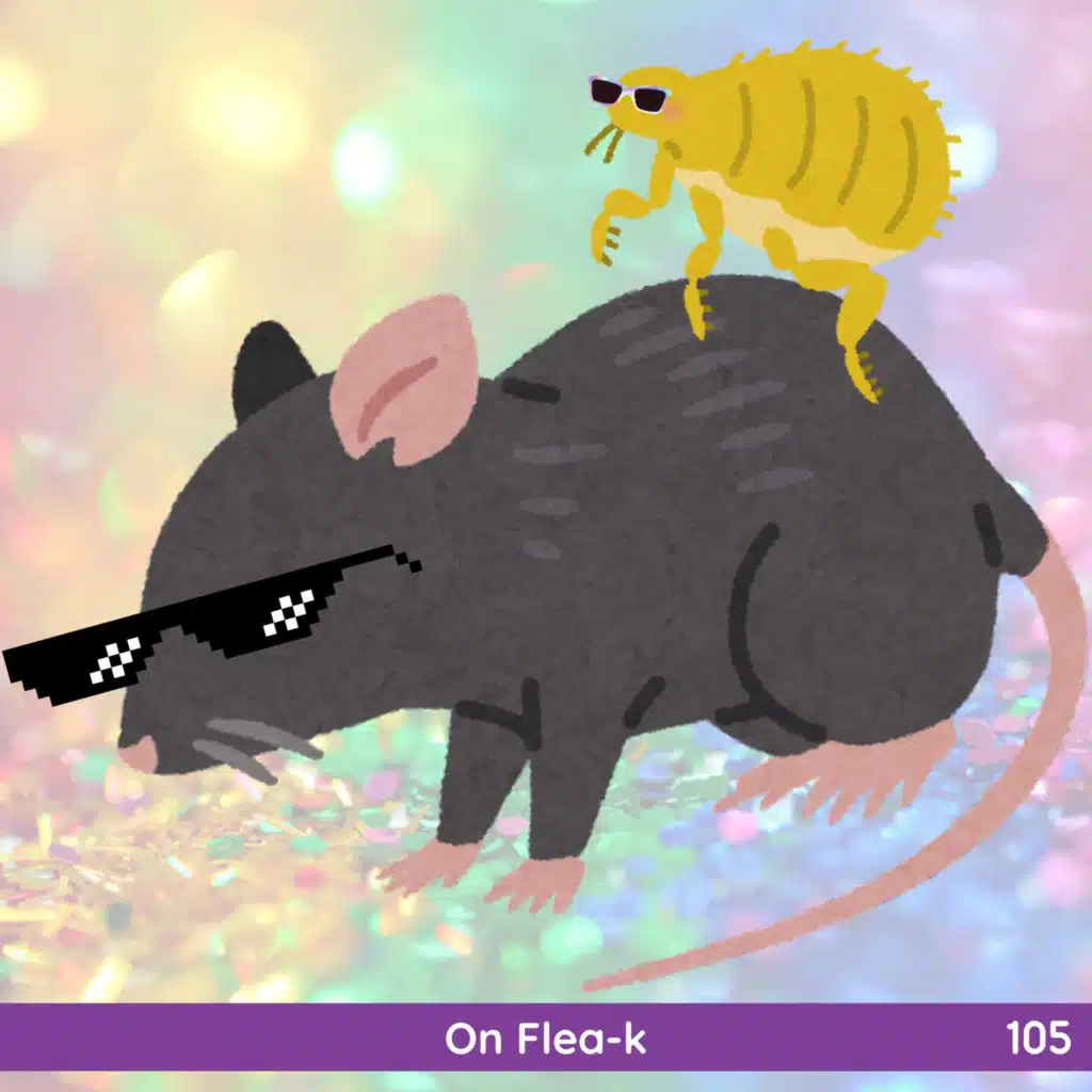 105: On Flea-k