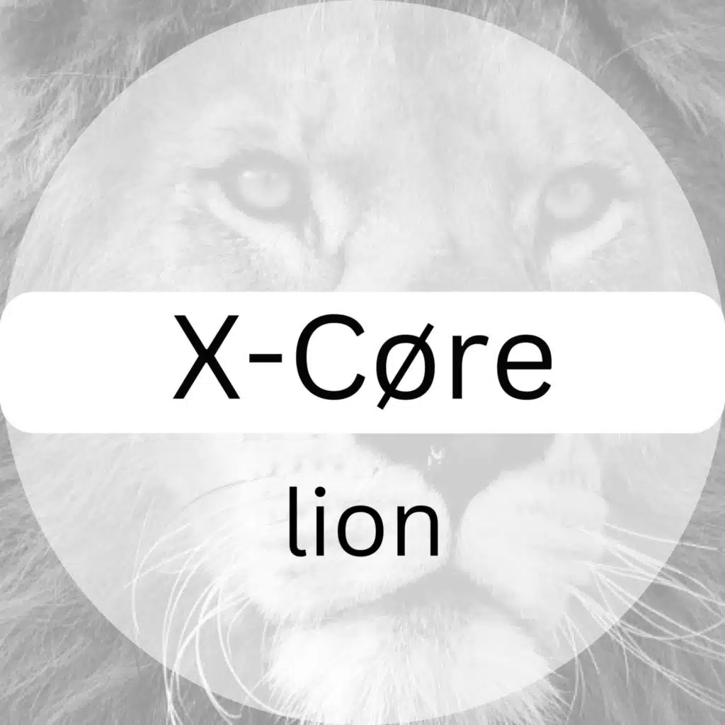X-Core