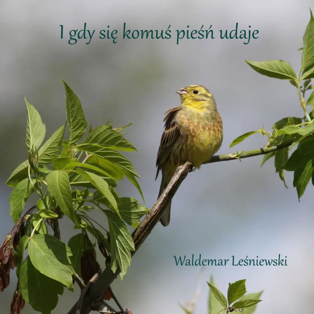 Waldemar Leśniewski