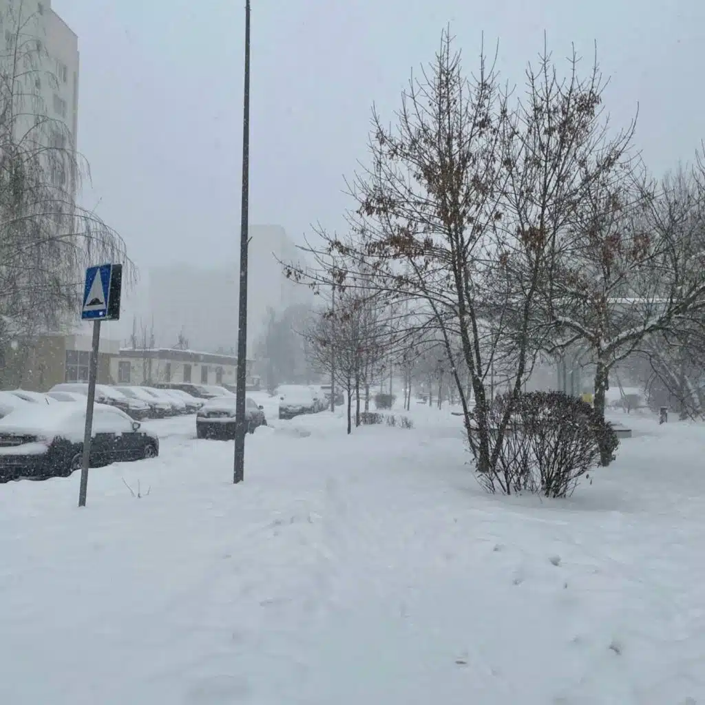 Winter