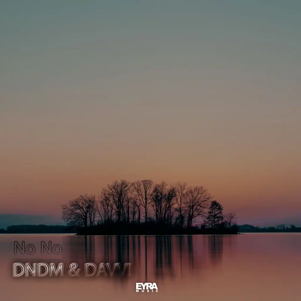 No No (feat. Davvi)