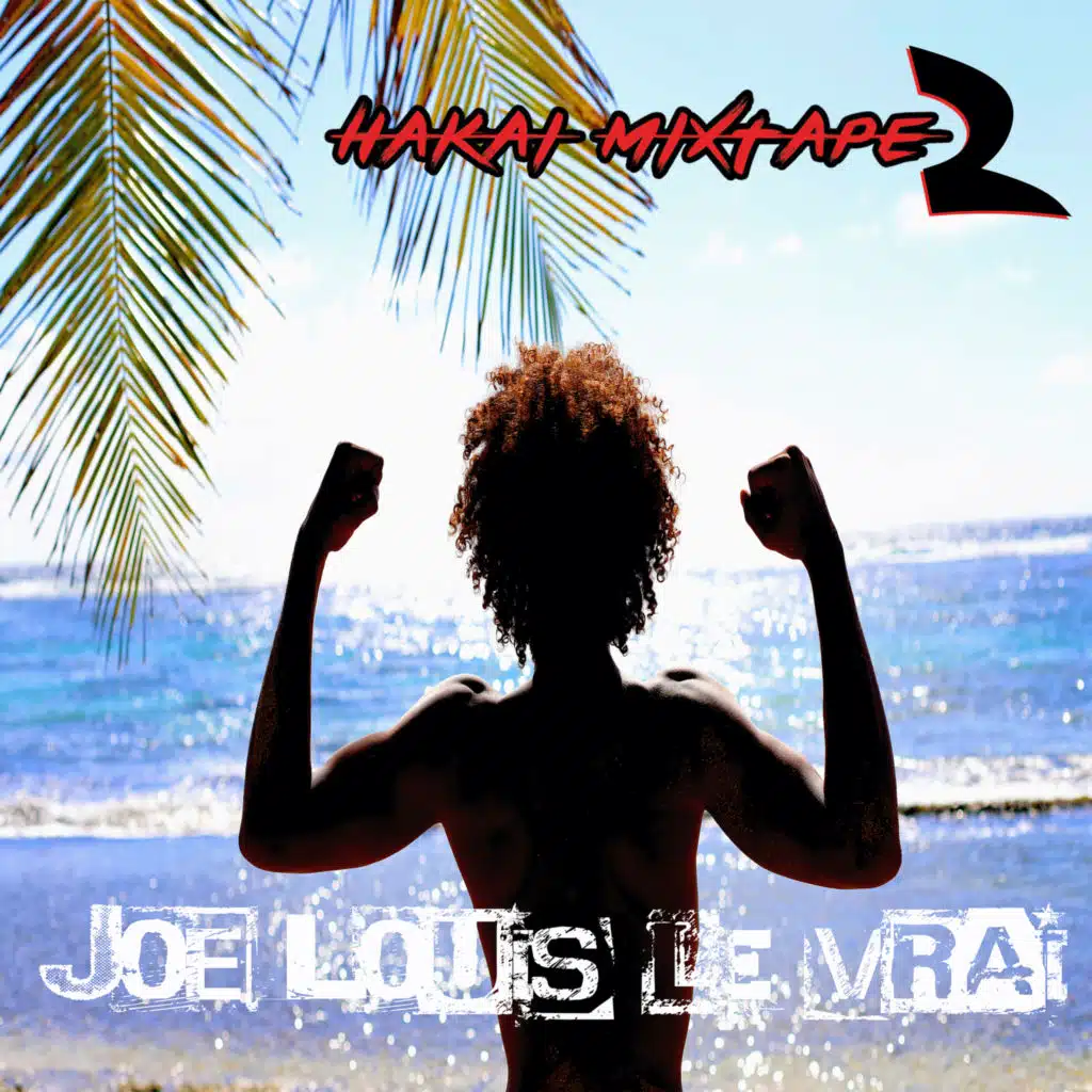 JOE LOUIS LE VRAI