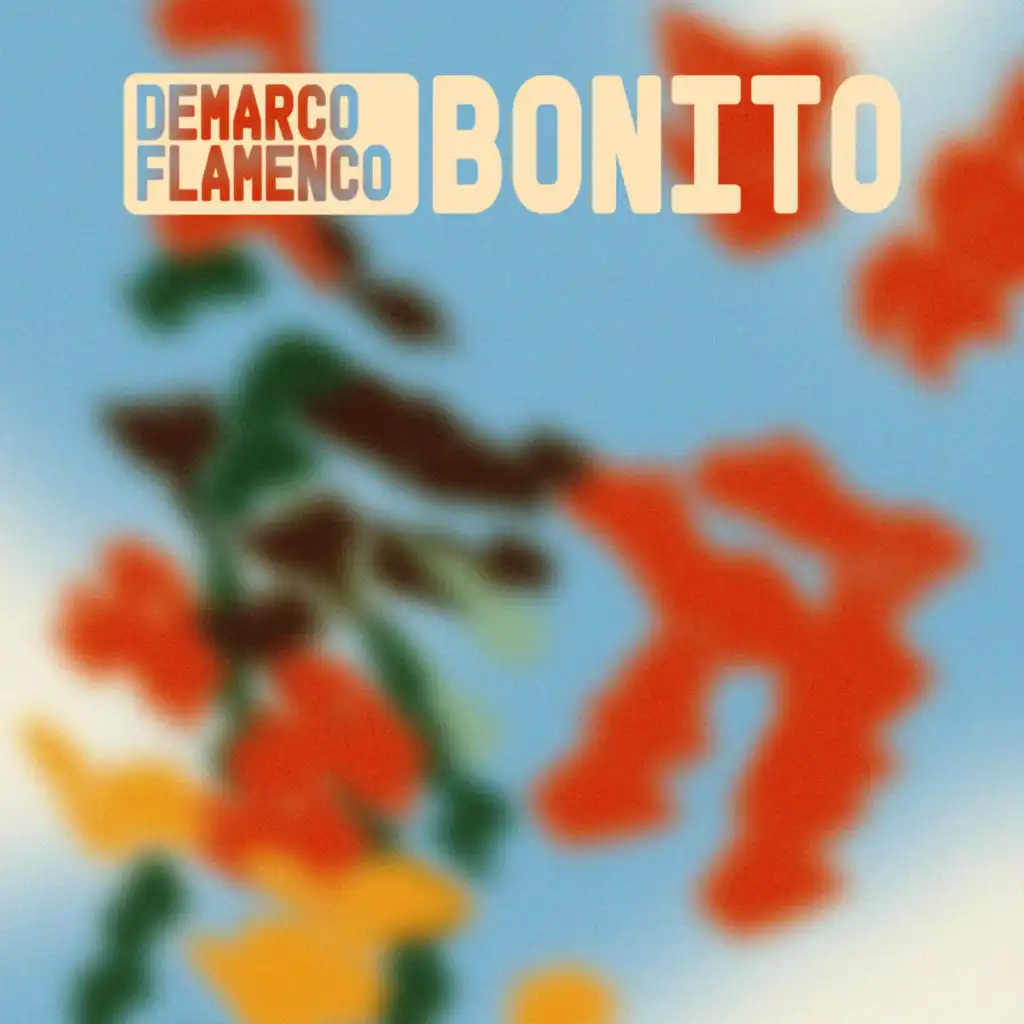 Demarco Flamenco