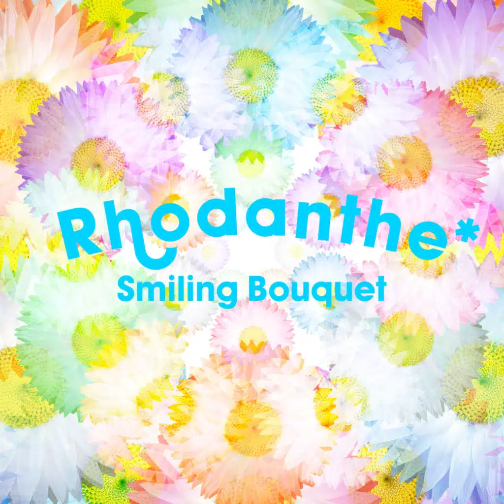 Rhodanthe*