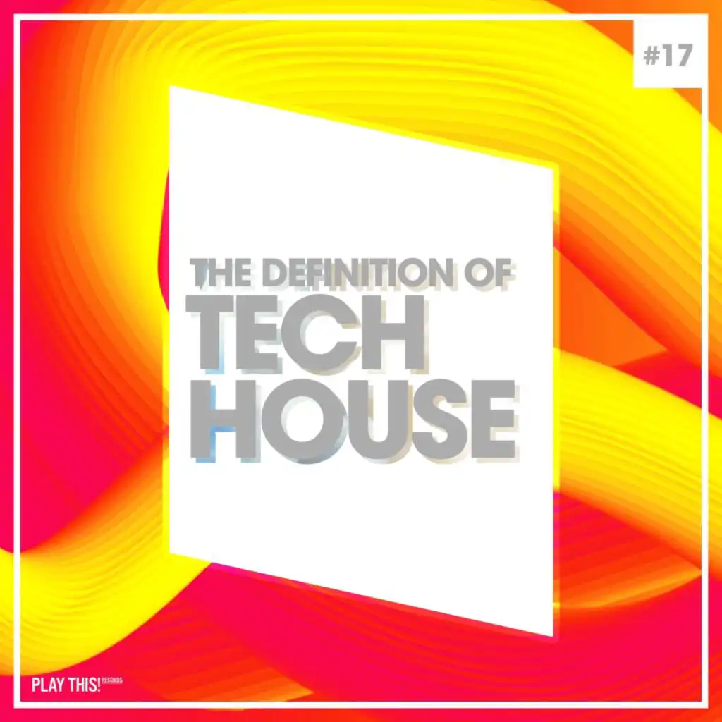 The Definition of Tech House, Vol. 17