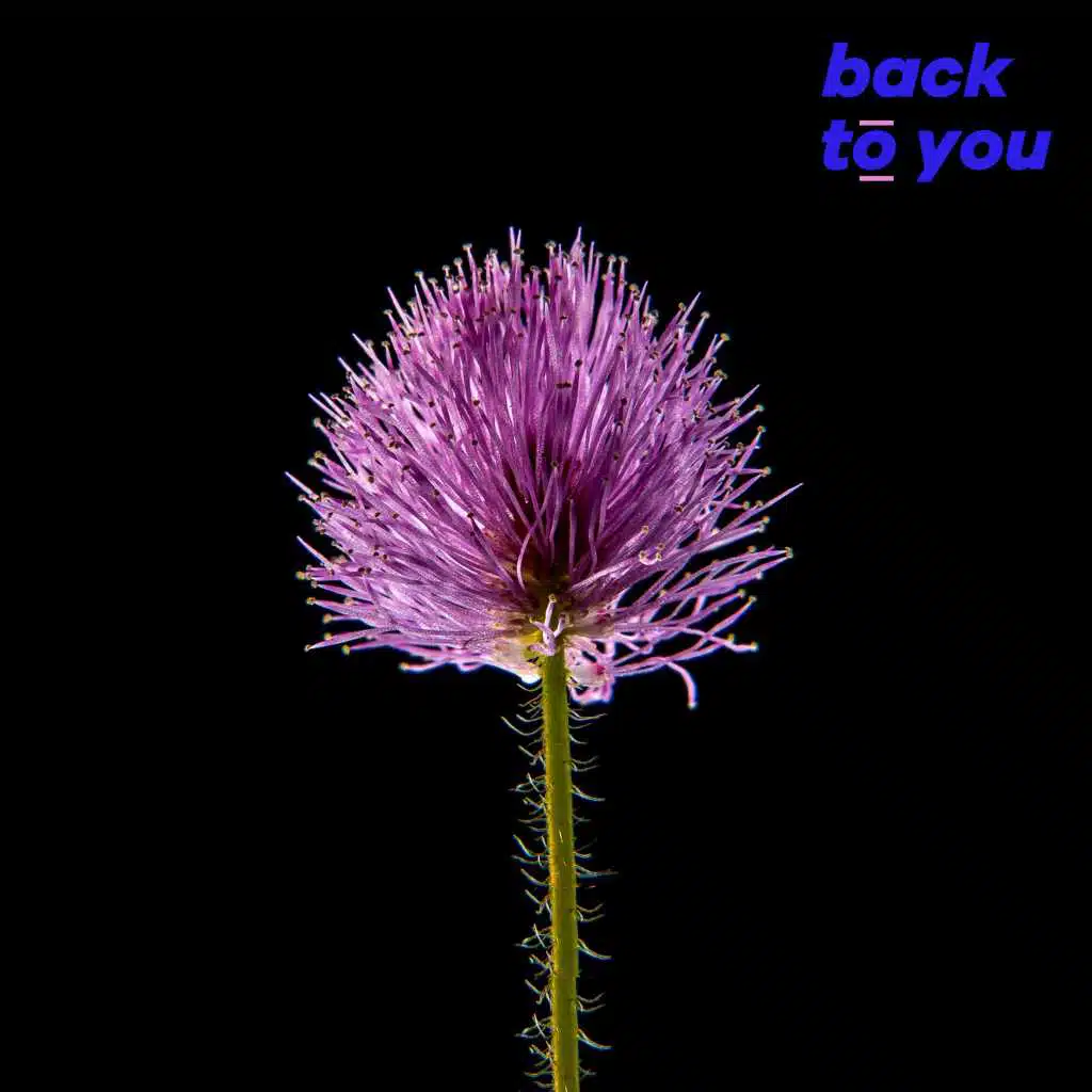 Back To You