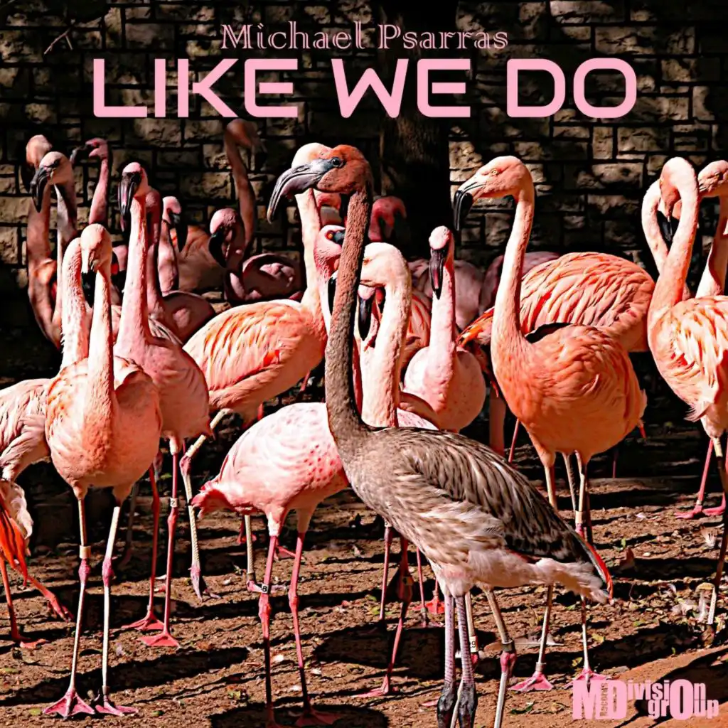 Like We Do (Radio Version)