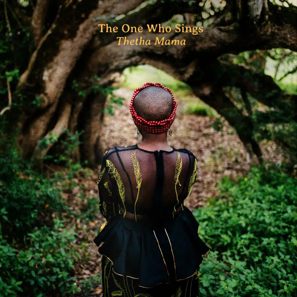 Wawundithembisile (Acoustic)