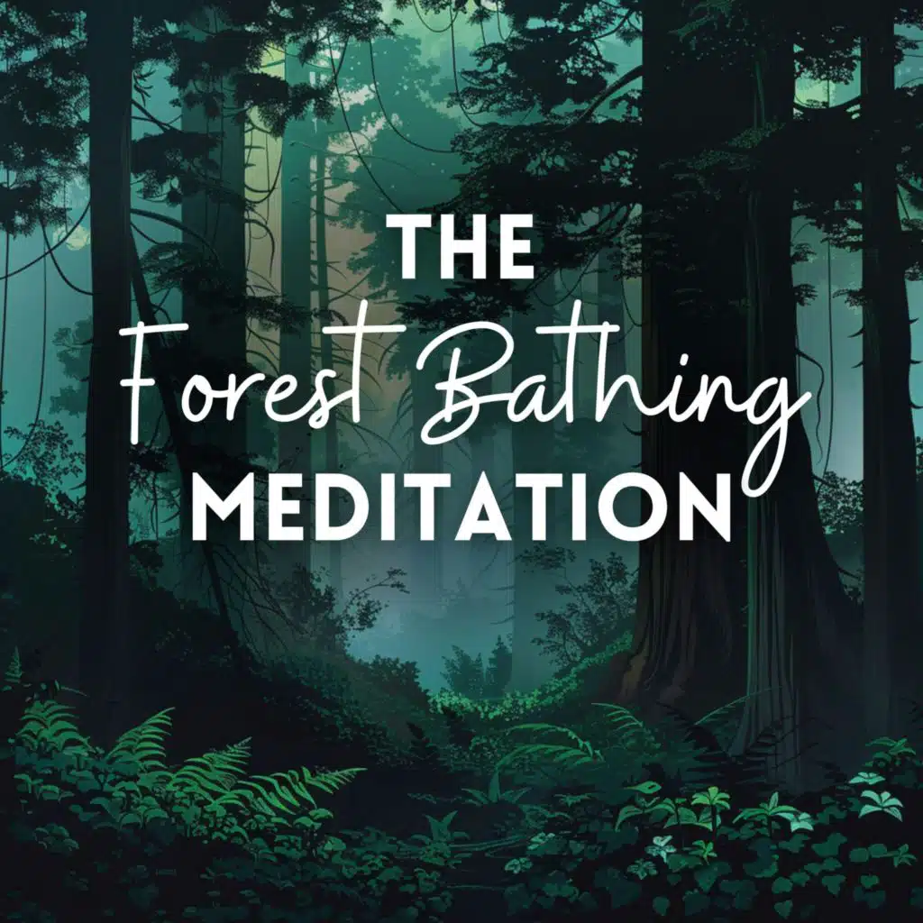 The Forest Bathing Meditation