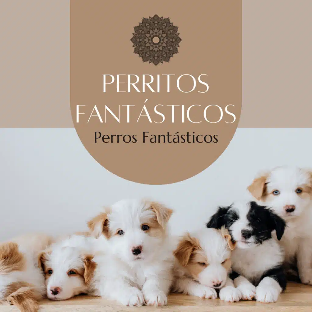 Perros Fantásticos