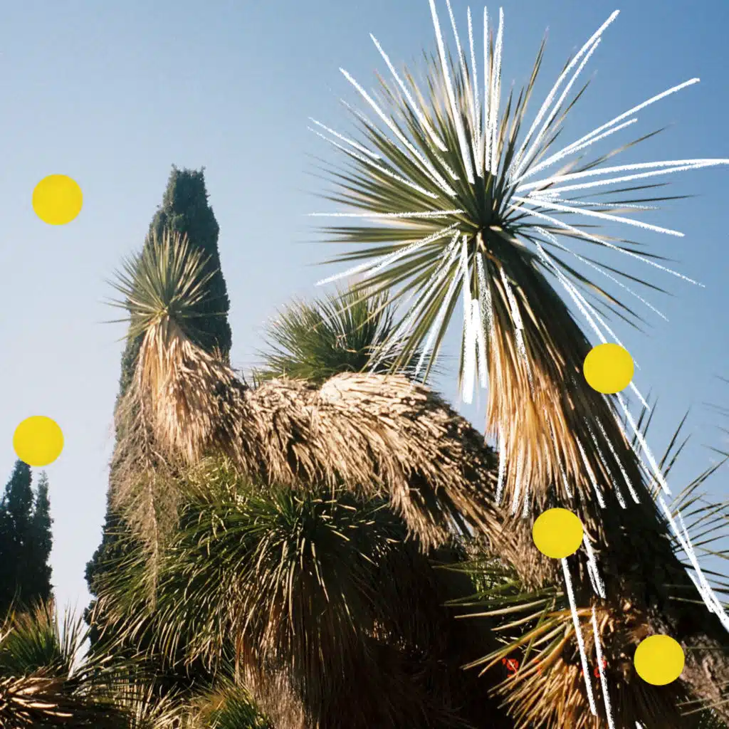 Pinie (Sébastien Léger Remix) [feat. orbit]