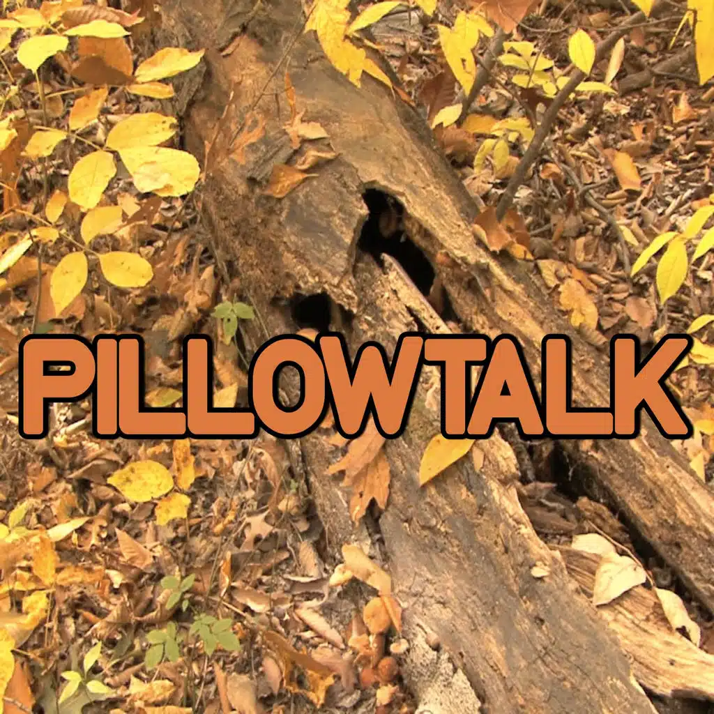 Pillowtalk -Tribute to Zayn