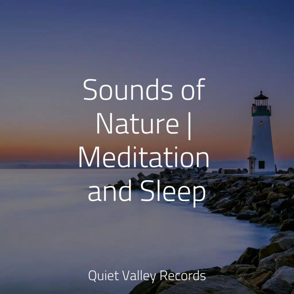 Sounds of Nature | Meditation and Sleep