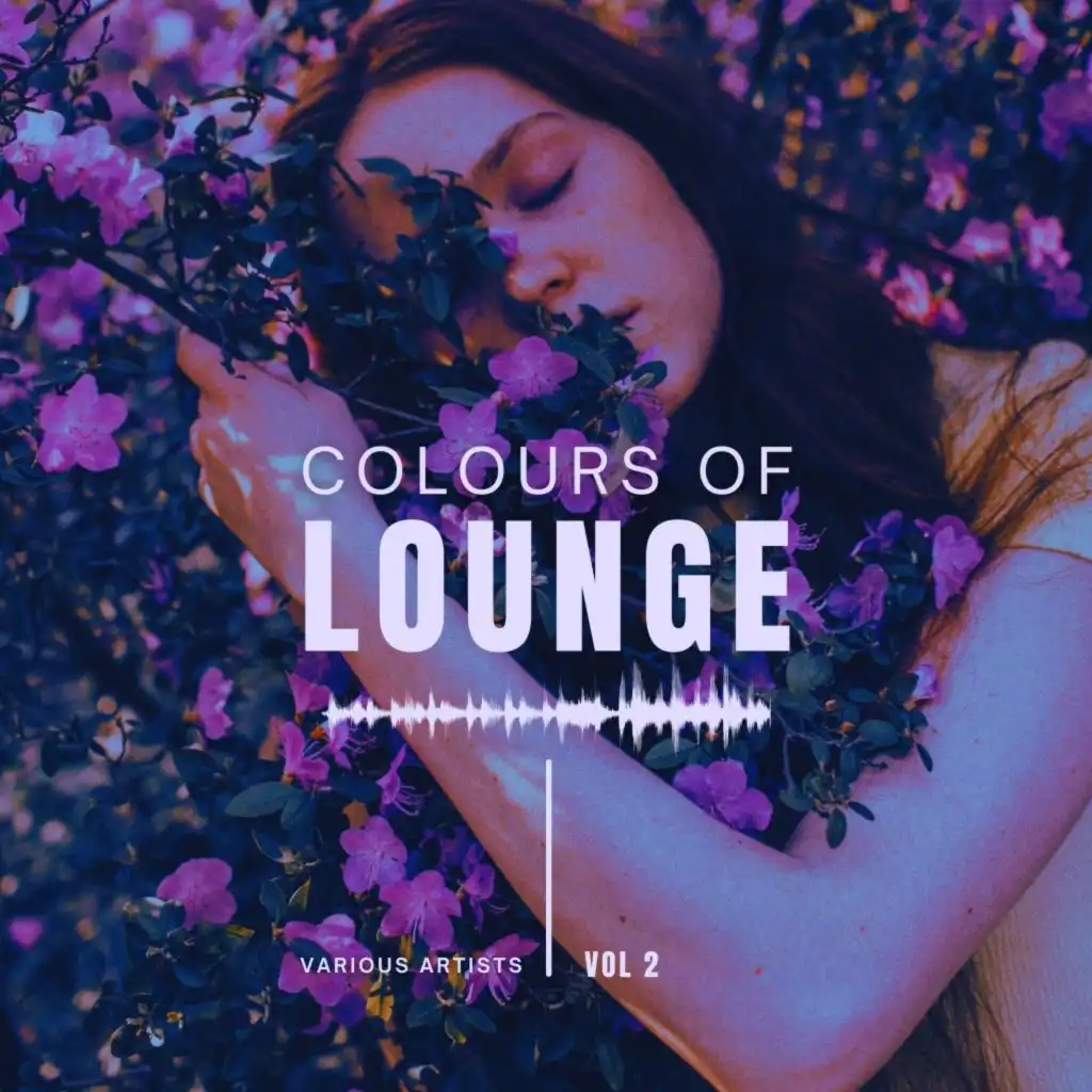 Colours of Lounge, Vol. 2