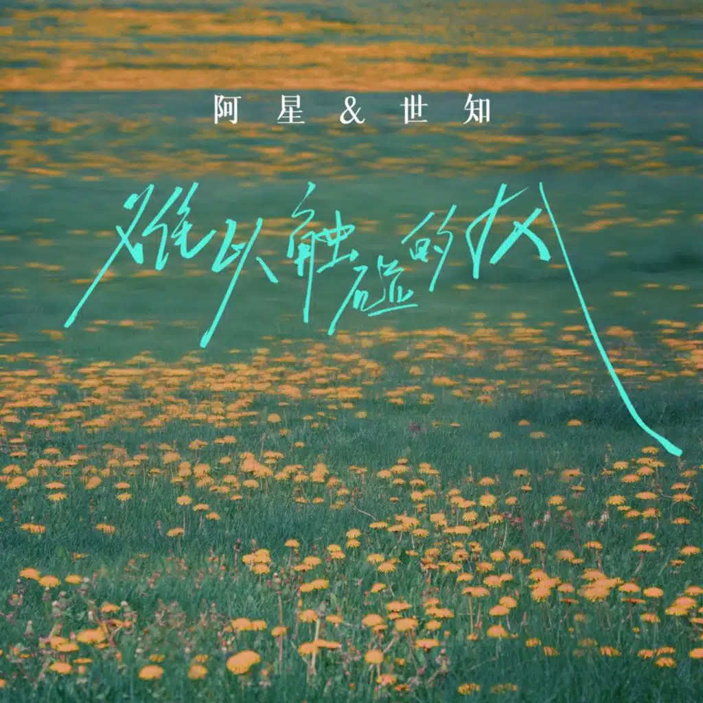 阿星 & 世知