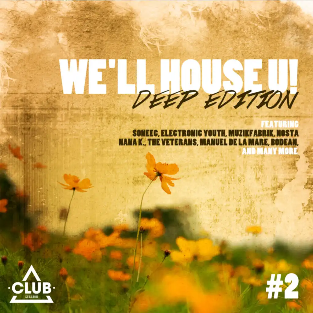 We'll House You - Deep Edition Vol. 2