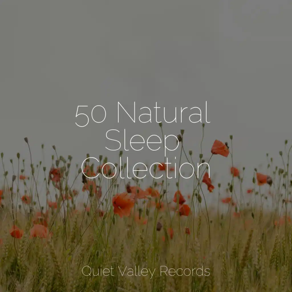 50 Natural Sleep Collection