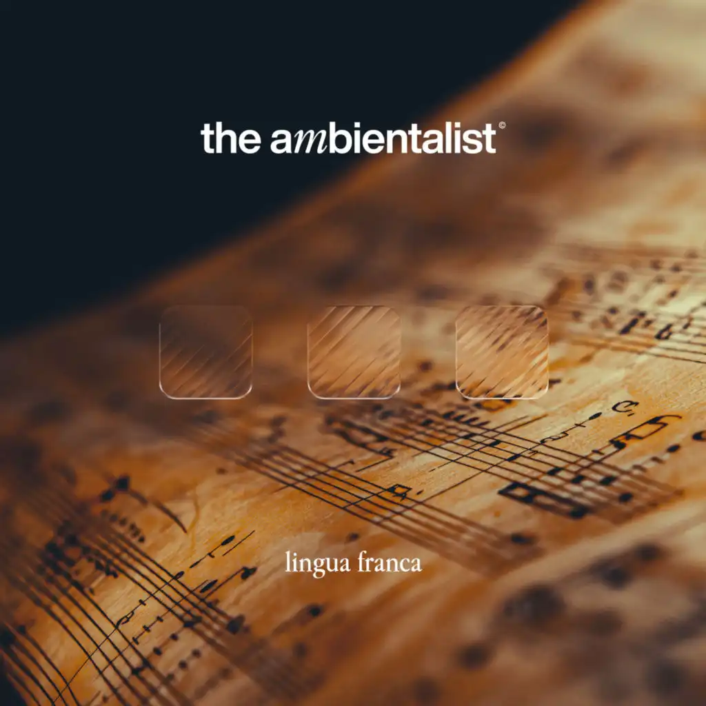 The Ambientalist