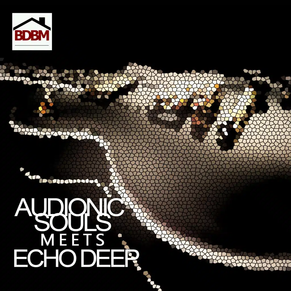 AudionicSouls Meets Echo Deep