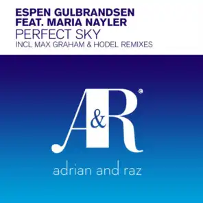Perfect Sky (Hodel Remix)