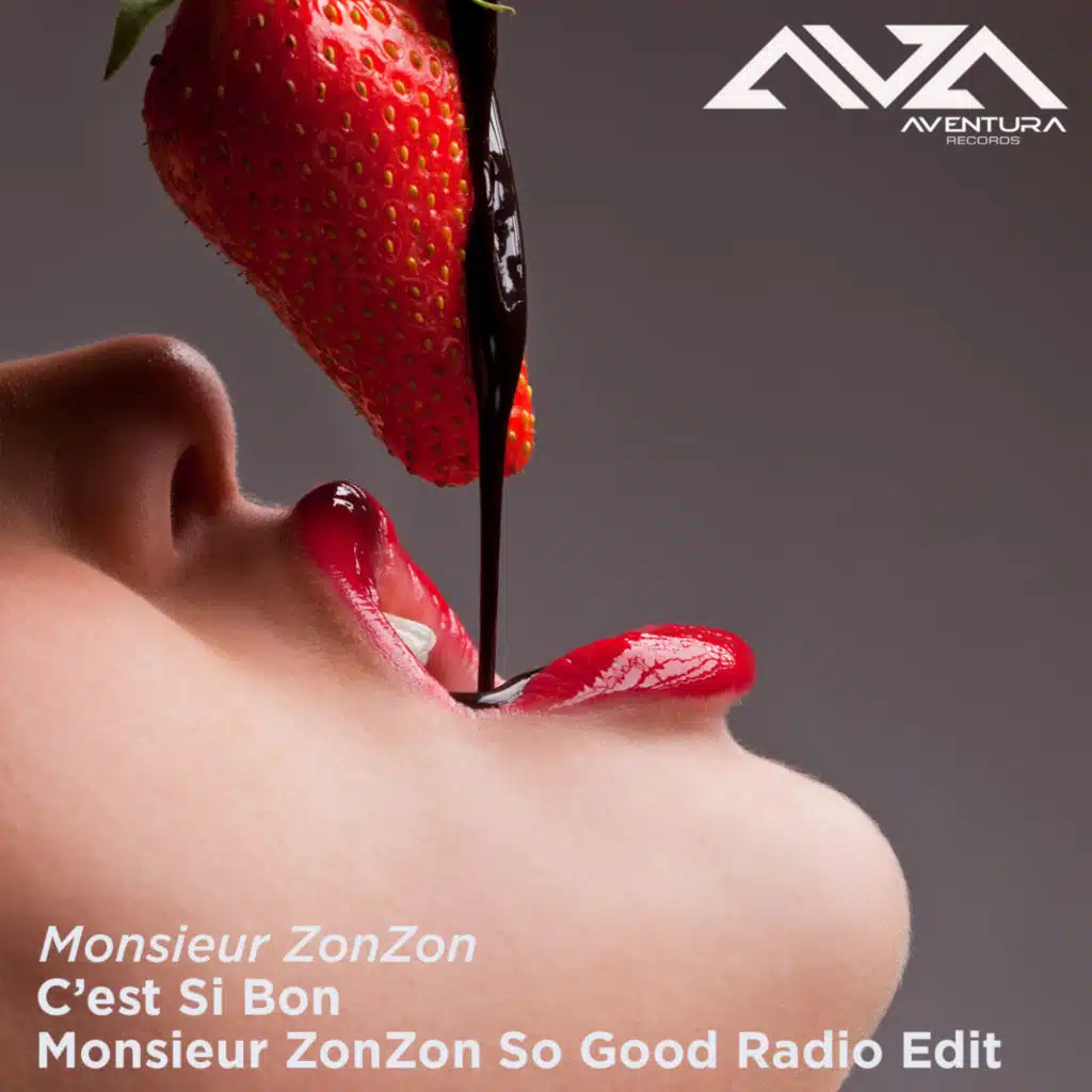 C’est Si Bon (Monsieur ZonZon So Good Radio Mix) [feat. Franck Dona]