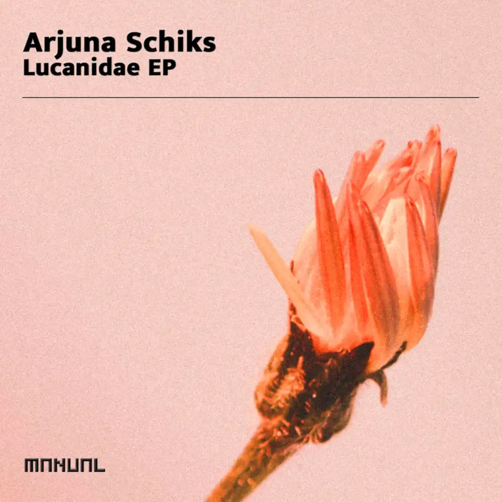 Arjuna Schiks