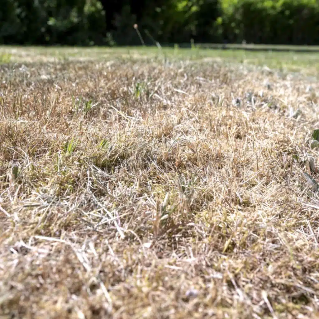 تحذيرات من حدوث حرائق وغيرها من الأخبار في موجز الأربعاء