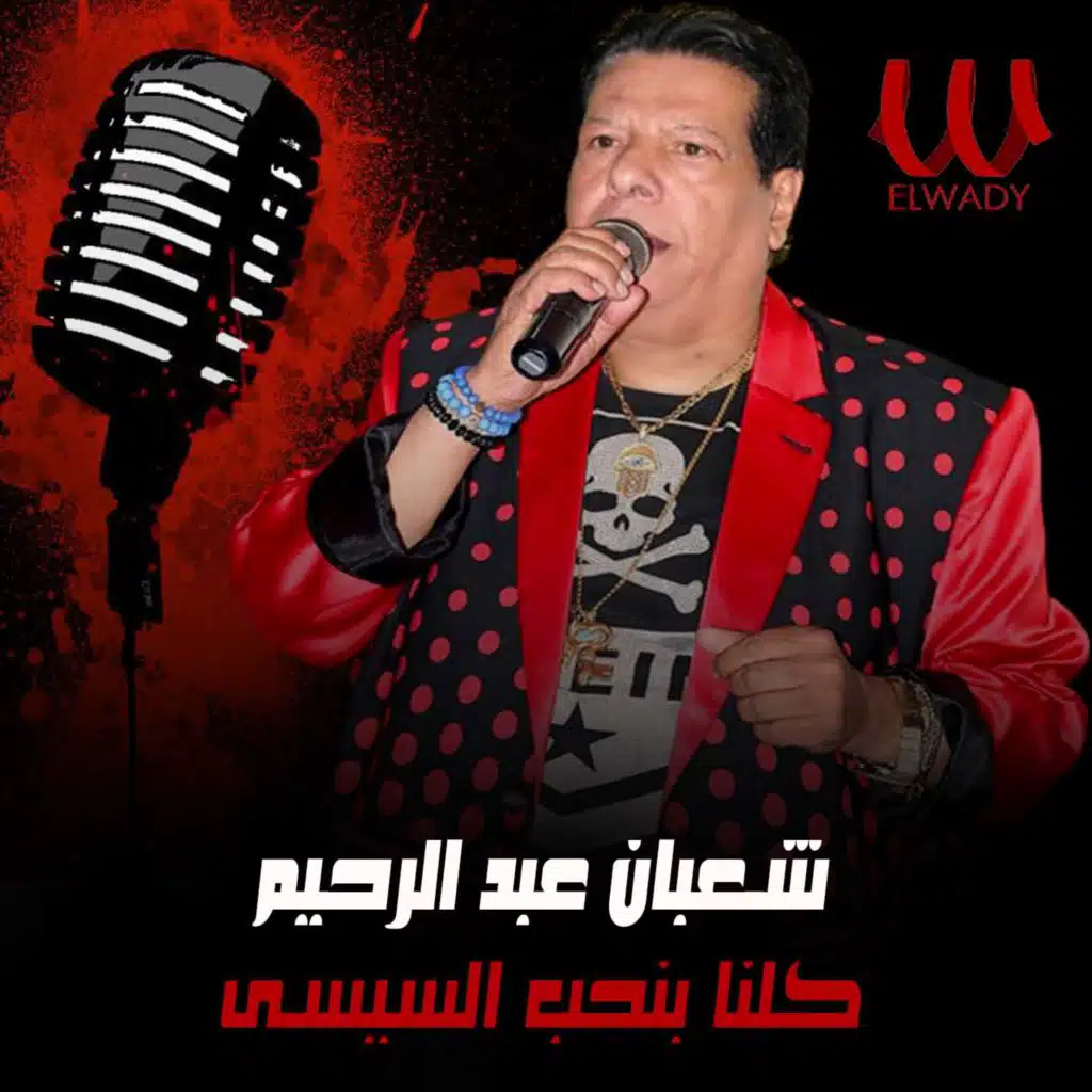 كلنا بنحب السيسي