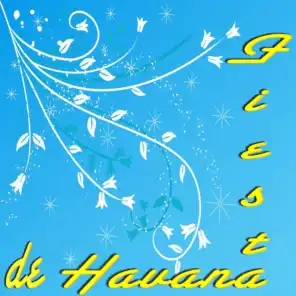 Fiesta de Havana