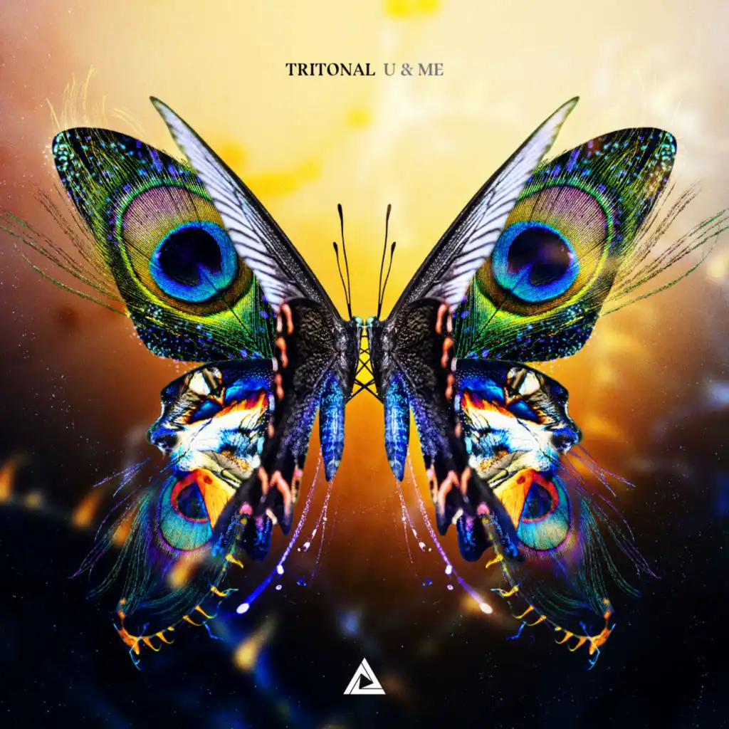 Tritonal feat. Chris Ramos & Shanahan