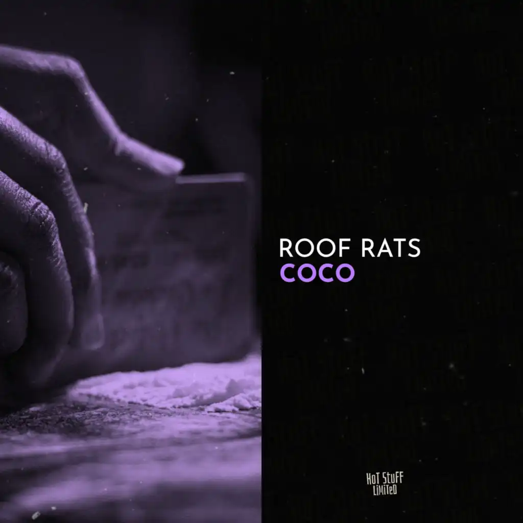 Roof Rats