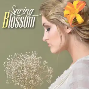 Spring Blossom (20 Smooth and Relaxing Jazz Lounge Tunes)