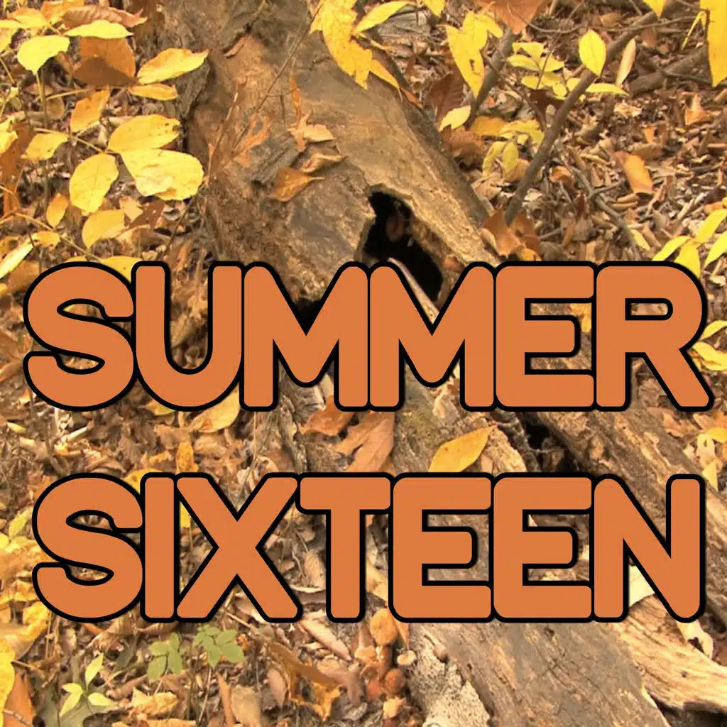 Summer Sixteen - Tribute to Drake