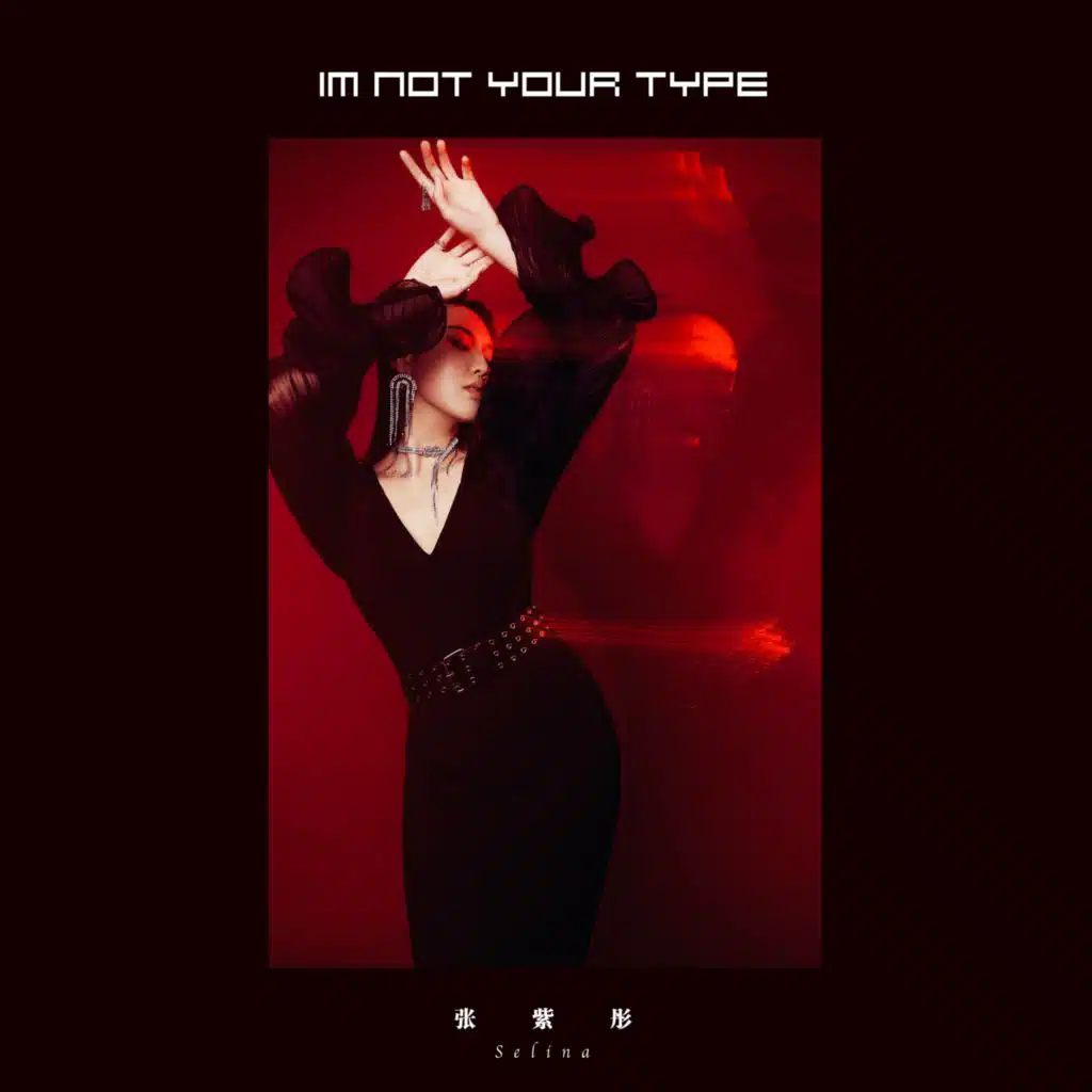 I'M NOT YOUR TYPE (伴奏)