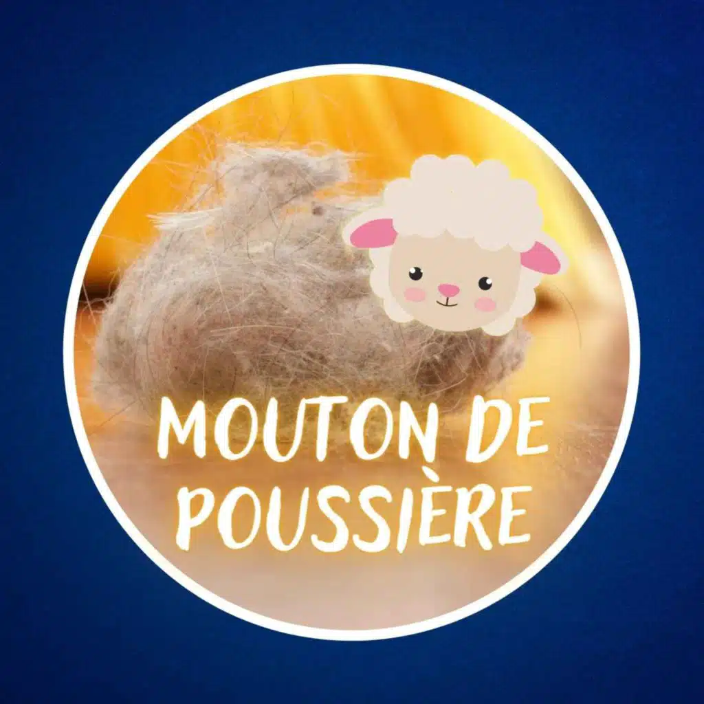 D'où viennent les moutons de poussière ? 🐑