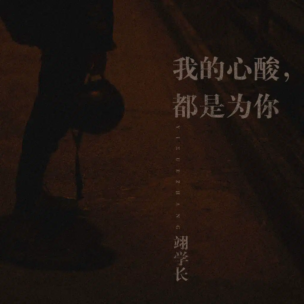 我的心酸，都是为你