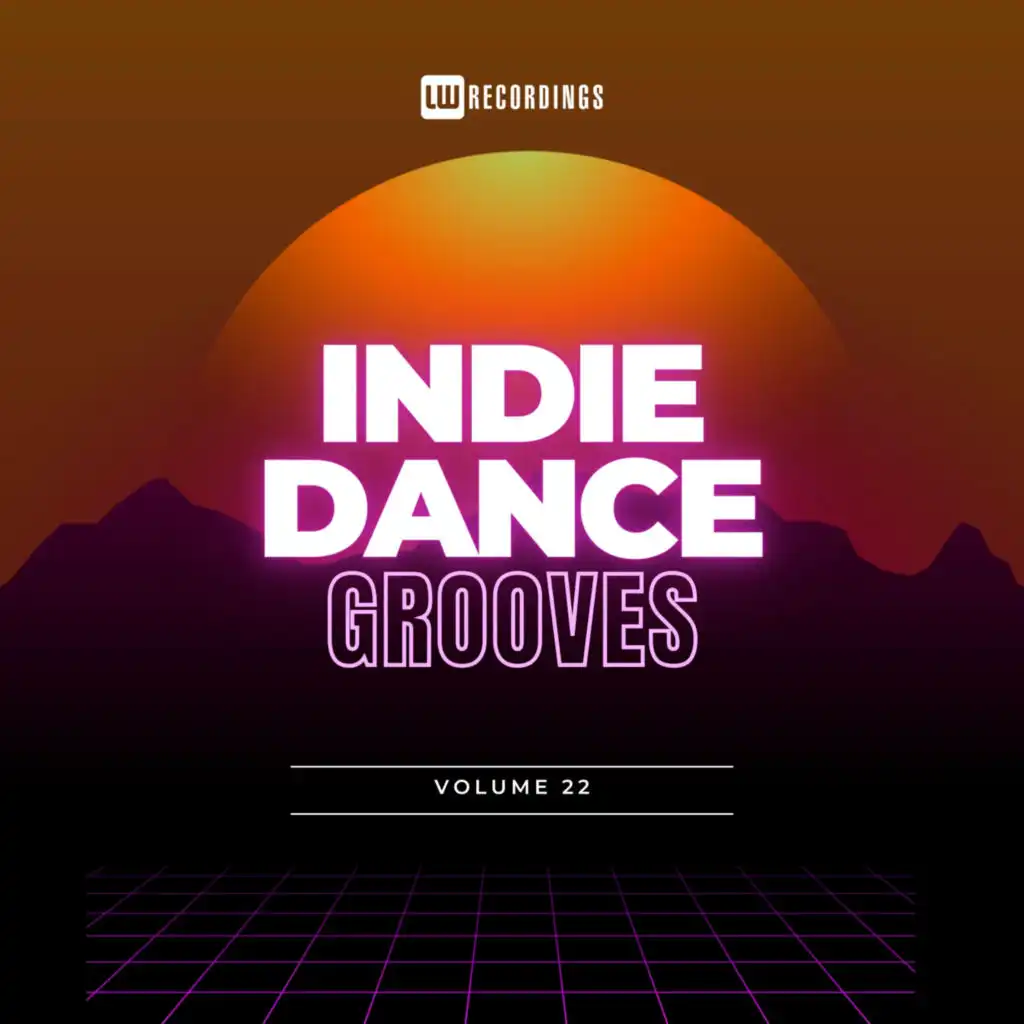 Indie Dance Grooves, Vol. 22