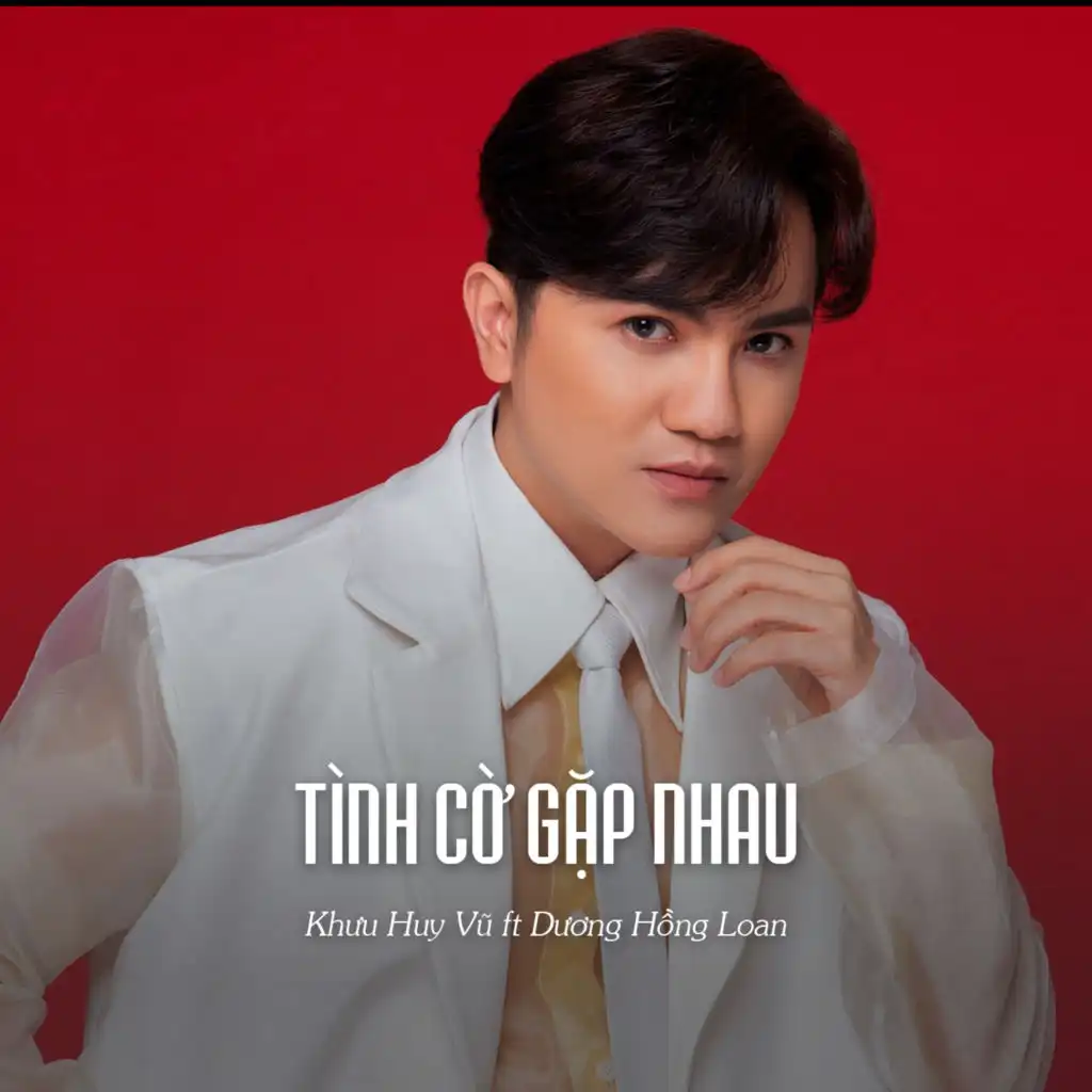 Tình Cờ Gặp Nhau (Ytmix) [feat. Dương Hồng Loan]