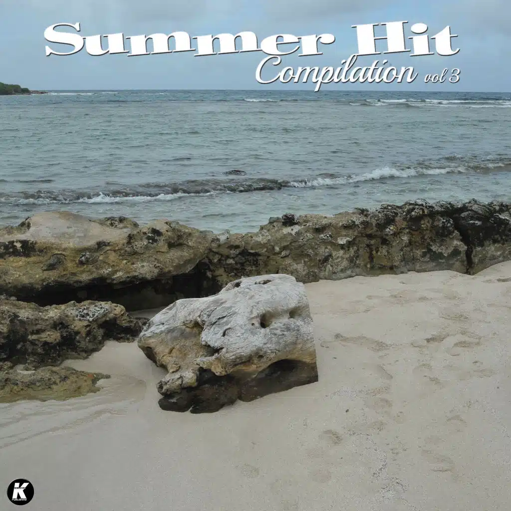 Summer Hit Compilation, Vol. 3