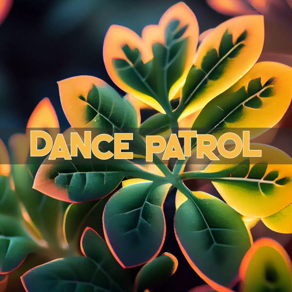 Dance patrol (feat. Dortemise & Kosmos)