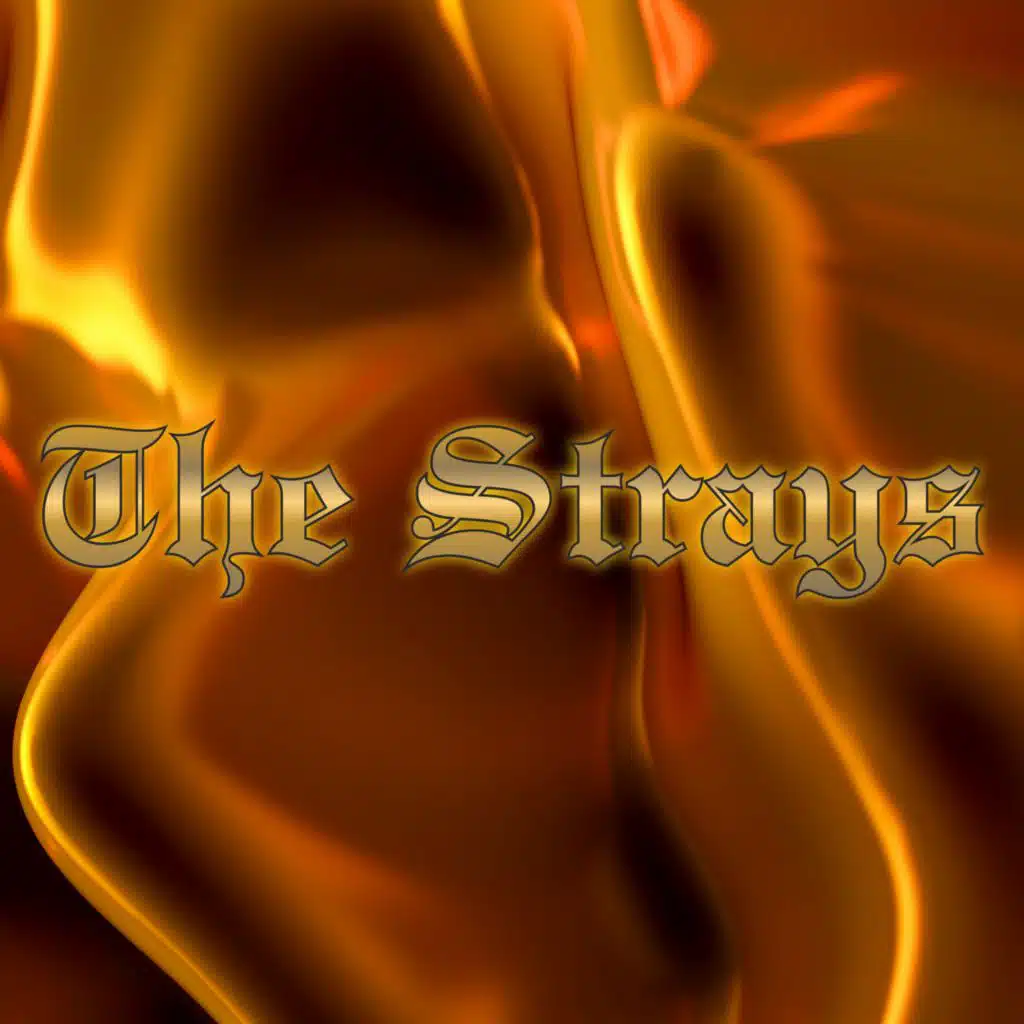 The strays (feat. Livio Polini & DJ Freccia)