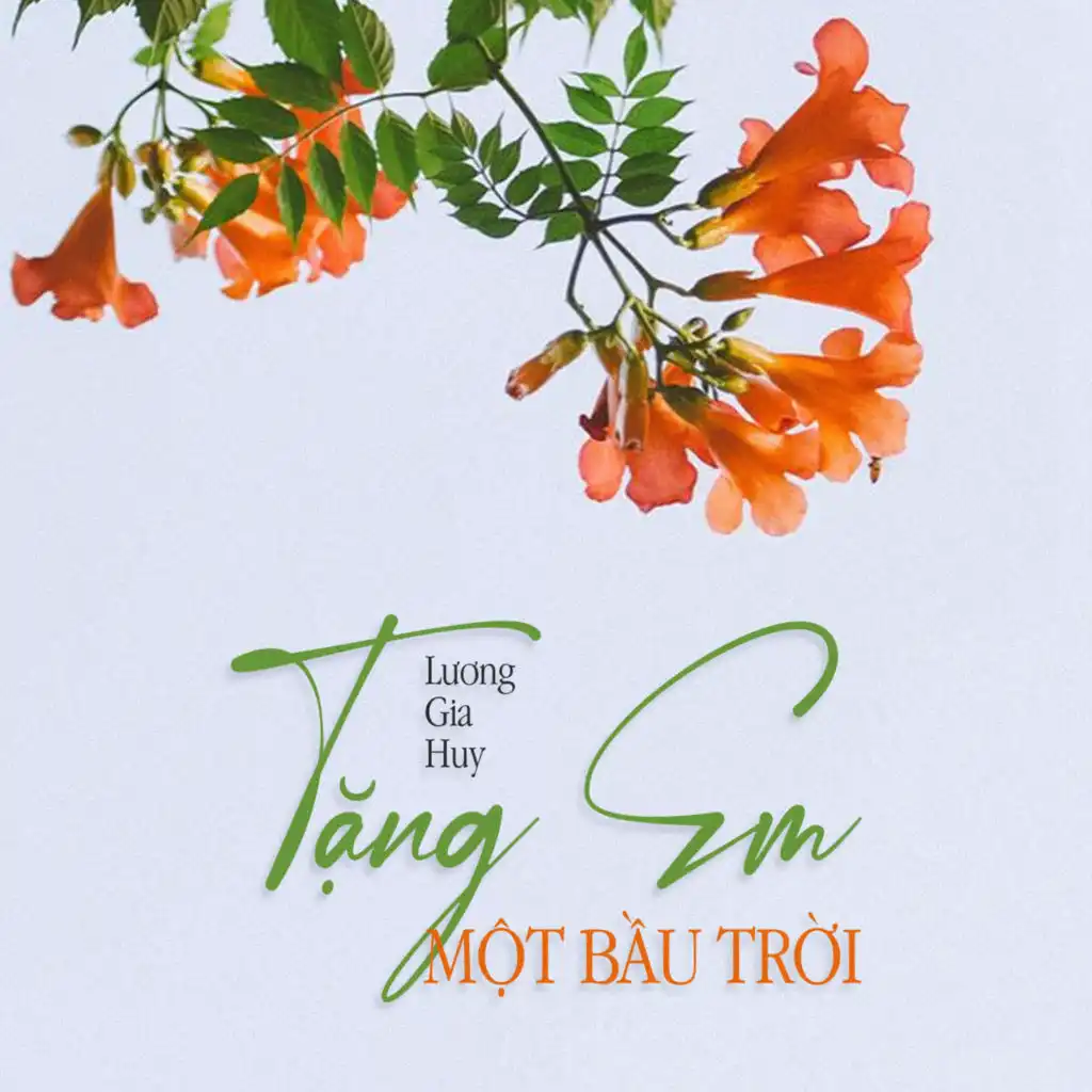 Tặng Em Một Bầu Trời (Ytmix)